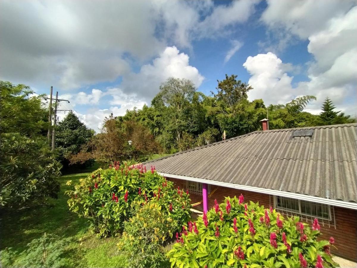 La Acuarela, Posada De La Monita เปเรย์รา ภายนอก รูปภาพ