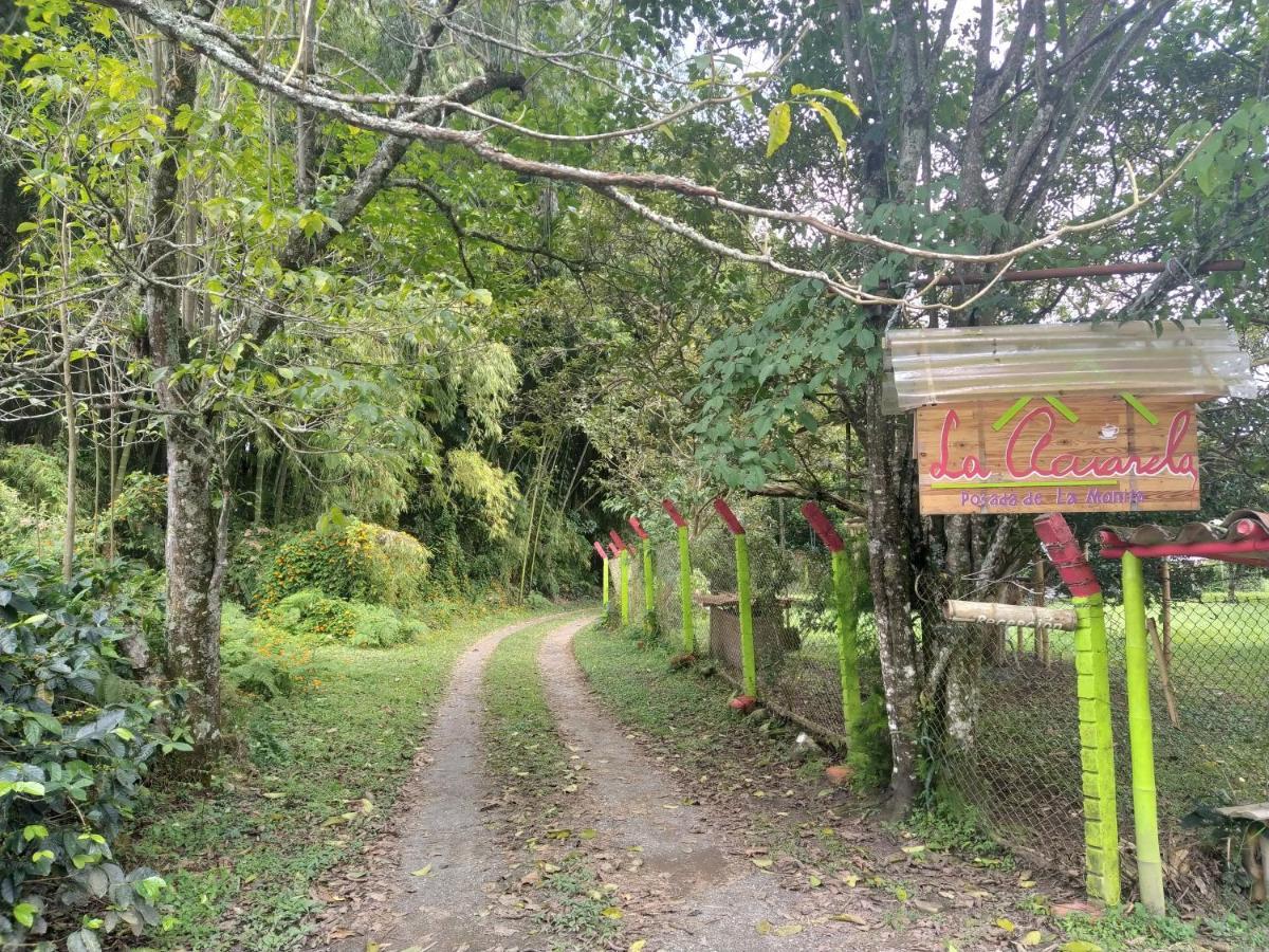 La Acuarela, Posada De La Monita เปเรย์รา ภายนอก รูปภาพ