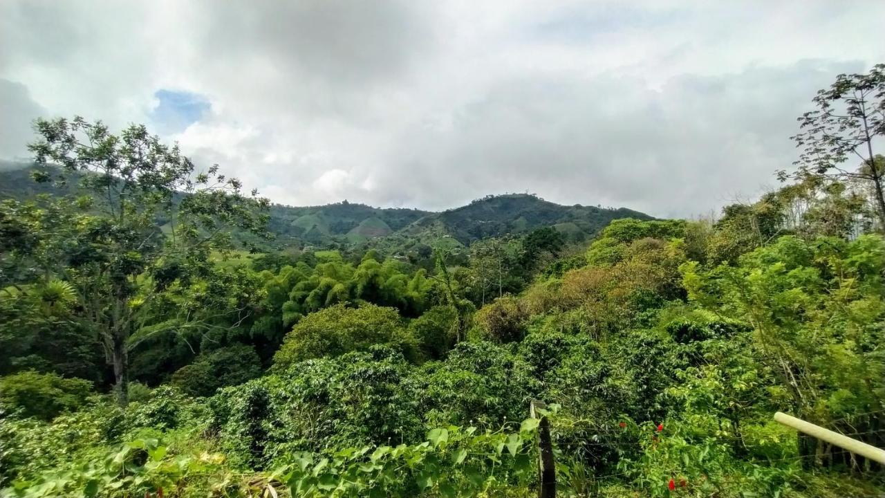 La Acuarela, Posada De La Monita เปเรย์รา ภายนอก รูปภาพ